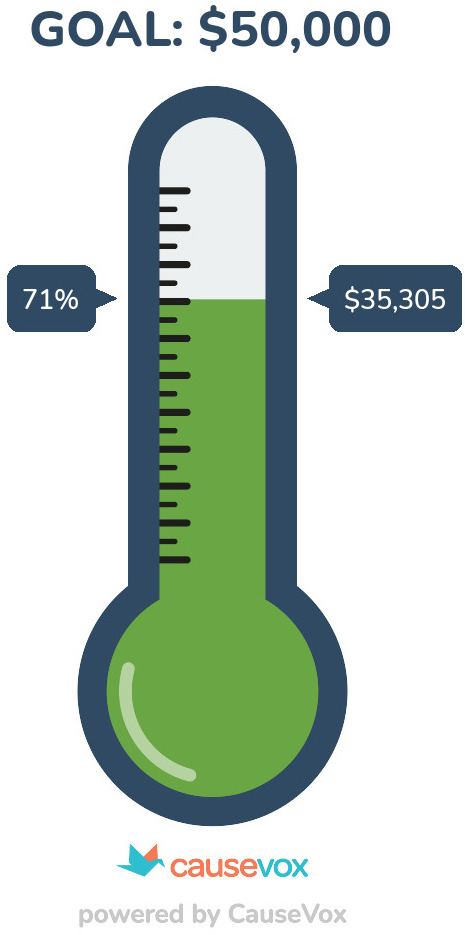 CauseVox-Fundraising-Thermometer%20(1).jpg